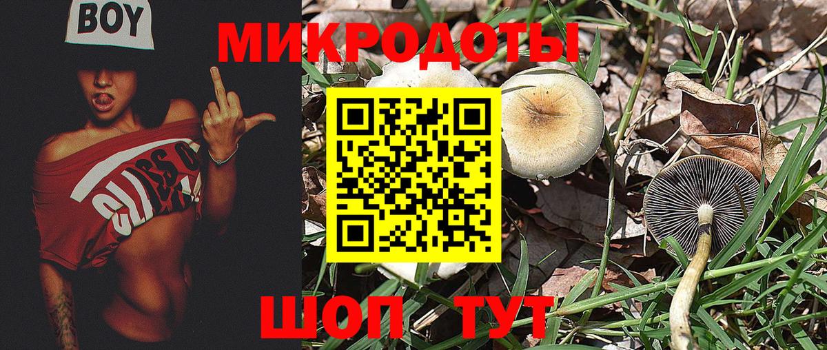 Вязники  Галлюциногенные грибы ЛСД  закладка  Вход с VPN 